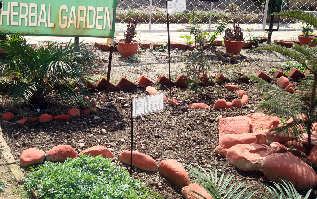 Herbal Park in DAV (PG) College, Karnal
