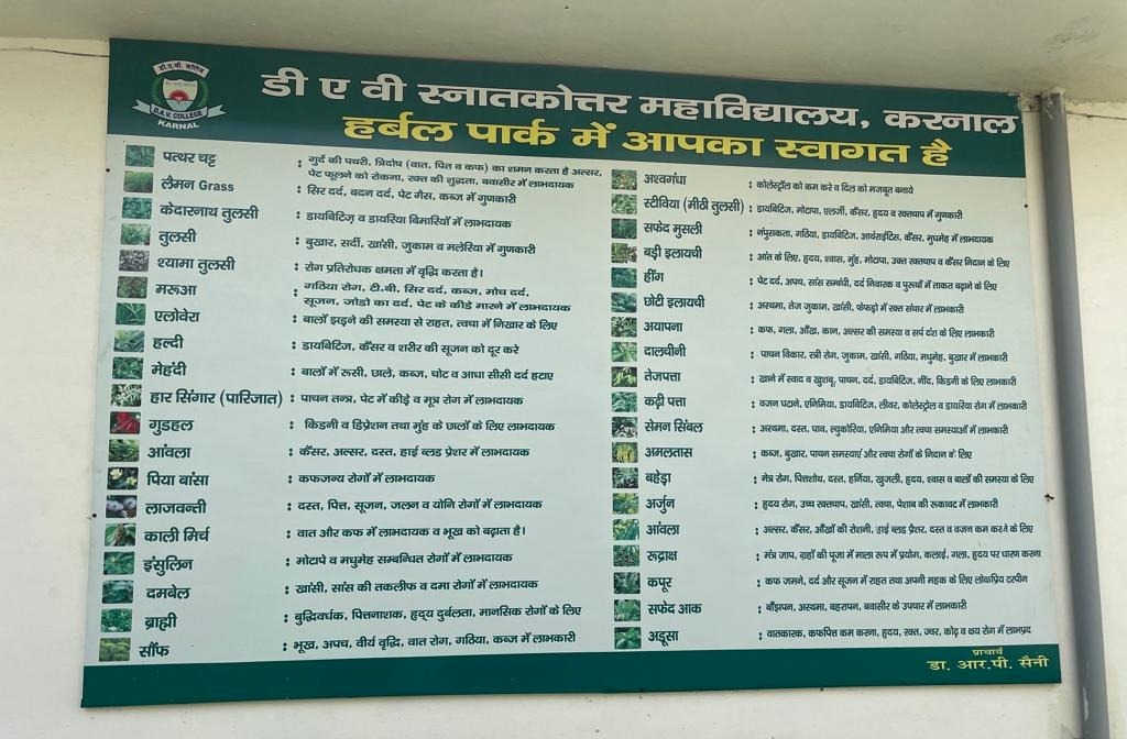 Herbal Park in DAV (PG) College, Karnal